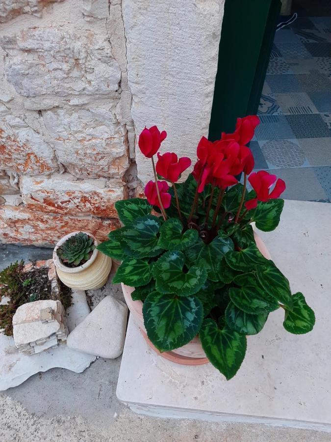 Casa Porta Verde Бале Экстерьер фото